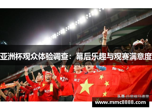亚洲杯观众体验调查：幕后乐趣与观赛满意度