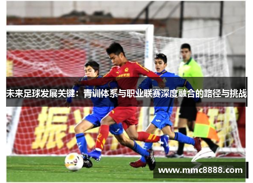 未来足球发展关键：青训体系与职业联赛深度融合的路径与挑战