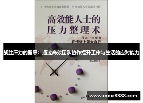 战胜压力的智慧：通过高效团队协作提升工作与生活的应对能力